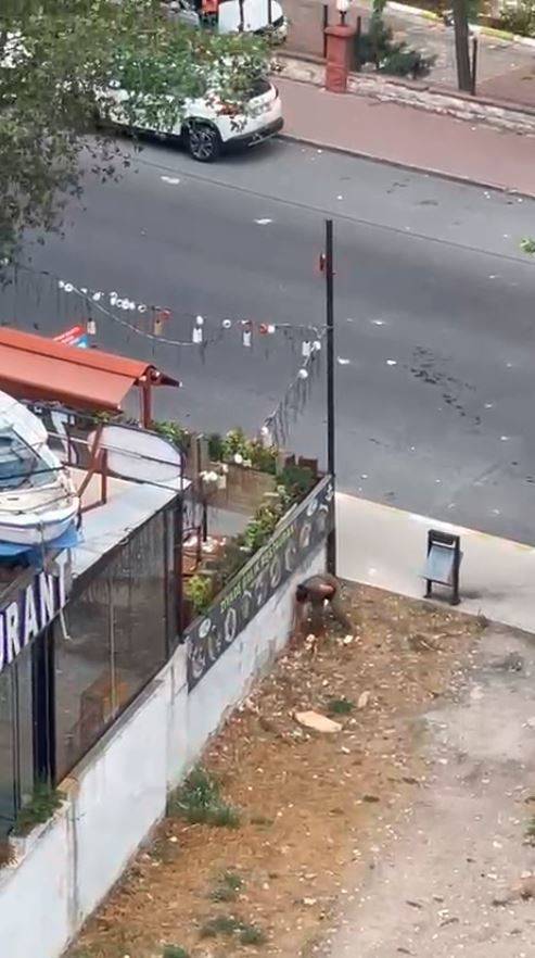 Esenyurt’ta Bir Kadın Yoldan Geçen Araçlara Taşla Saldırdı