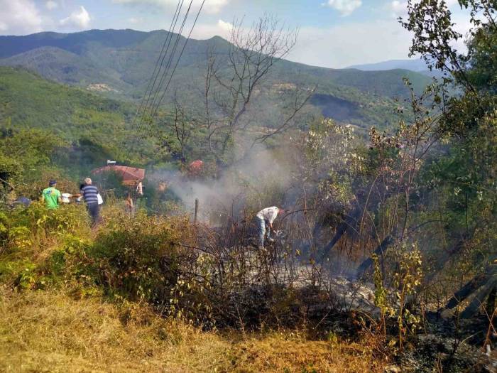 Otluk Alanda Çıkan Yangın Evlere Ve Ormanlık Alana Sıçramadan Söndürüldü