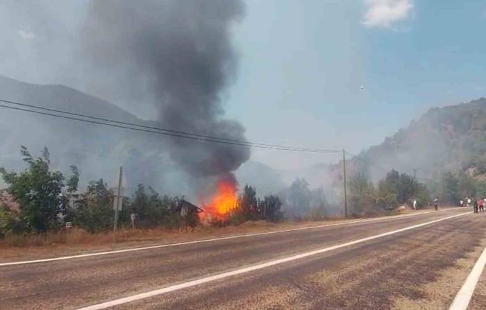 Tarlada Çıkan Yangın Samanlığı Küle Çevirdi