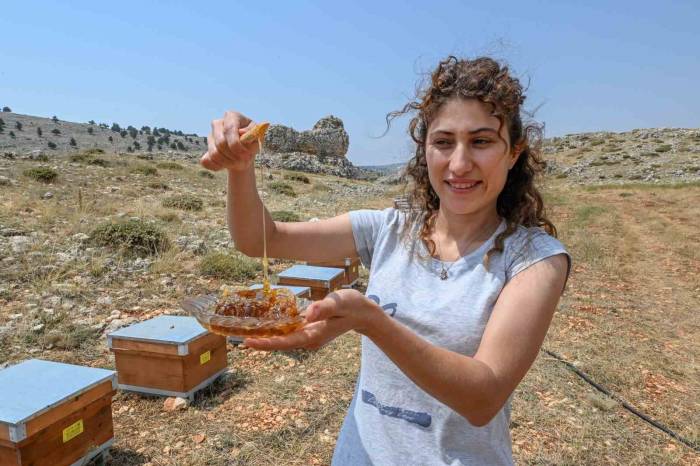 Mersin’de ‘Altın Kovan Projesi’ İle Arı Yetiştiriciliğine Destek