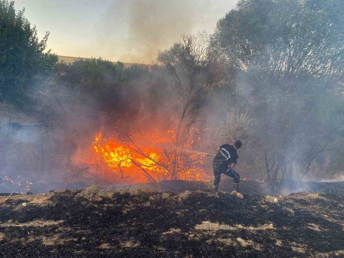 Malatya’da Anız Yangınında 50 Dönümlük Arazi Zarar Gördü