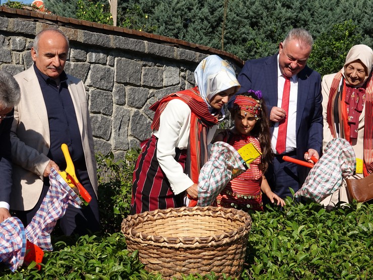 aile-ve-sosyal-hizmetler-bakani-mahinur-ozdemir-goktas-rizede-ziraat-botanik-cay-bahcesinde-cay-topladi-5.jpg