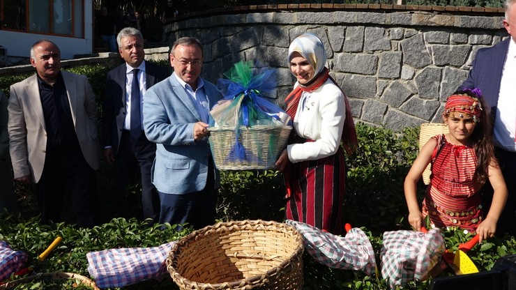 aile-ve-sosyal-hizmetler-bakani-mahinur-ozdemir-goktas-rizede-ziraat-botanik-cay-bahcesinde-cay-topladi-6.jpg