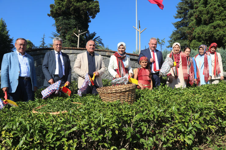 aile-ve-sosyal-hizmetler-bakani-mahinur-ozdemir-goktas-rizede-ziraat-botanik-cay-bahcesinde-cay-topladi.jpg