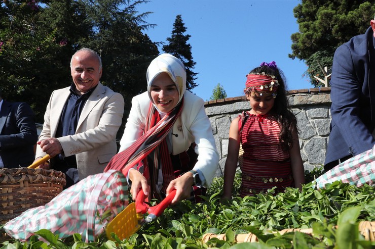 aile-ve-sosyal-hizmetler-bakani-mahinur-ozdemir-goktas-rizede-cay-hasadinda-bulundu-3.jpg