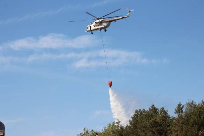 Sakarya’daki Orman Yangını Kontrol Altına Alındı