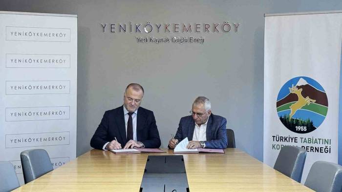 Taşınan Zeytin Ağaçlarını Ttkd İzleyecek