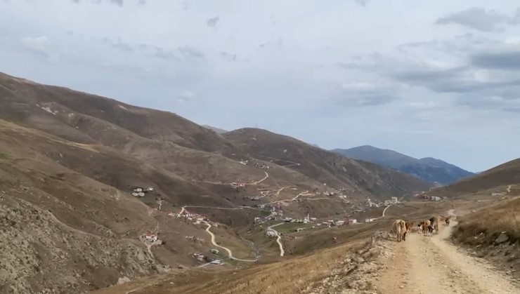 dogu-karadenizin-yuksekleri-beyaza-burundu-cobanlar-surulerini-yayladan-indirdi-5.jpg