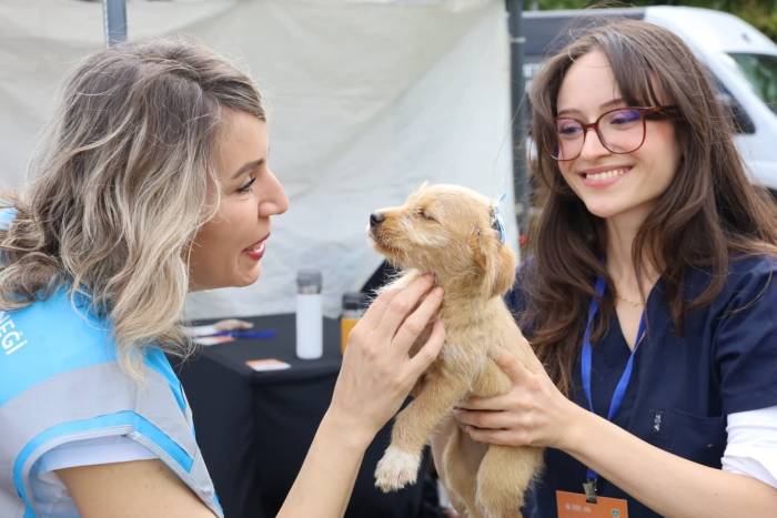Can Dostlar Yeni Yuvalarına Kavuştu