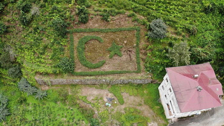 rizeli-cay-mustahsili-sevki-yilmaz-gurel-bayraga-olan-sevgisini-cay-fidanlariyla-nakis-nakis-isleyince-ortaya-koyun-her-tarafindan-gorunen-bir-caydan-turk-bayragi-cik-3.jpg
