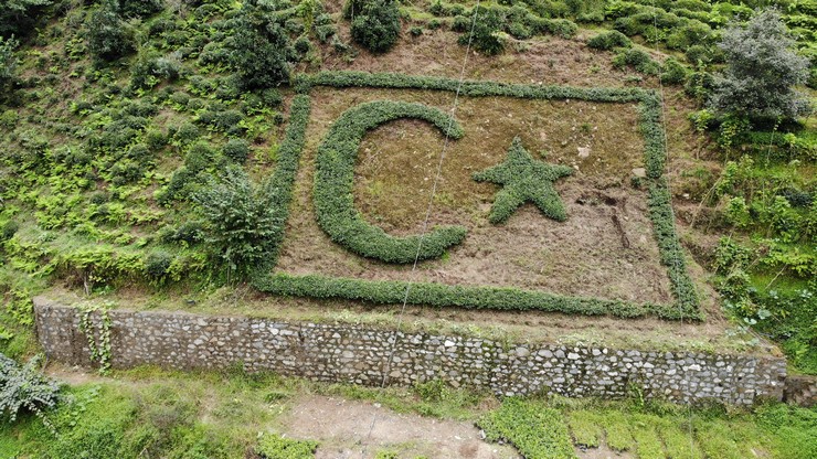 rizeli-cay-mustahsili-sevki-yilmaz-gurel-bayraga-olan-sevgisini-cay-fidanlariyla-nakis-nakis-isleyince-ortaya-koyun-her-tarafindan-gorunen-bir-caydan-turk-bayragi-cik.jpg