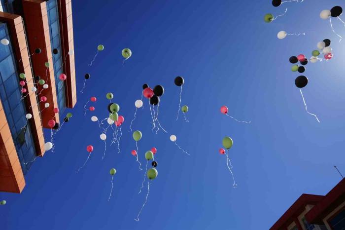 Gümüşhane’de Gazze İçin Balonlar Gökyüzüne Bırakıldı