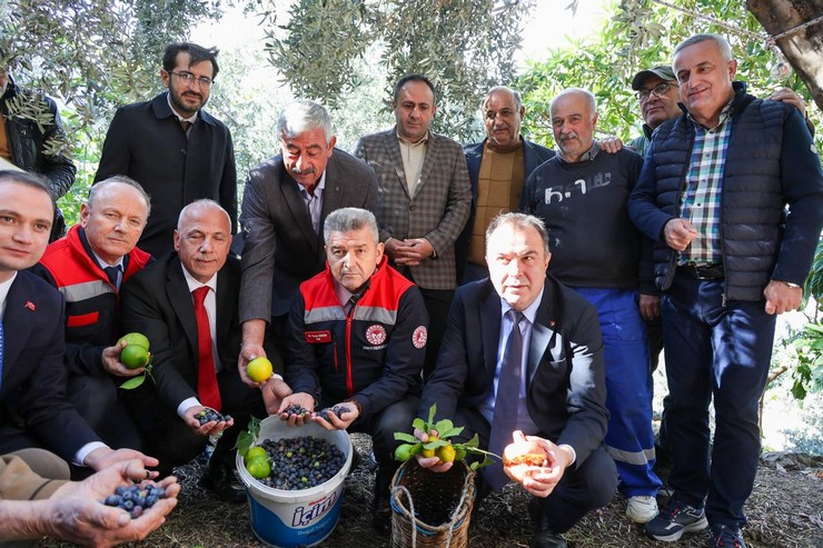 artvinde-lezzet-odullu-butko-zeytini-hasadi-basladi-3-001.jpg