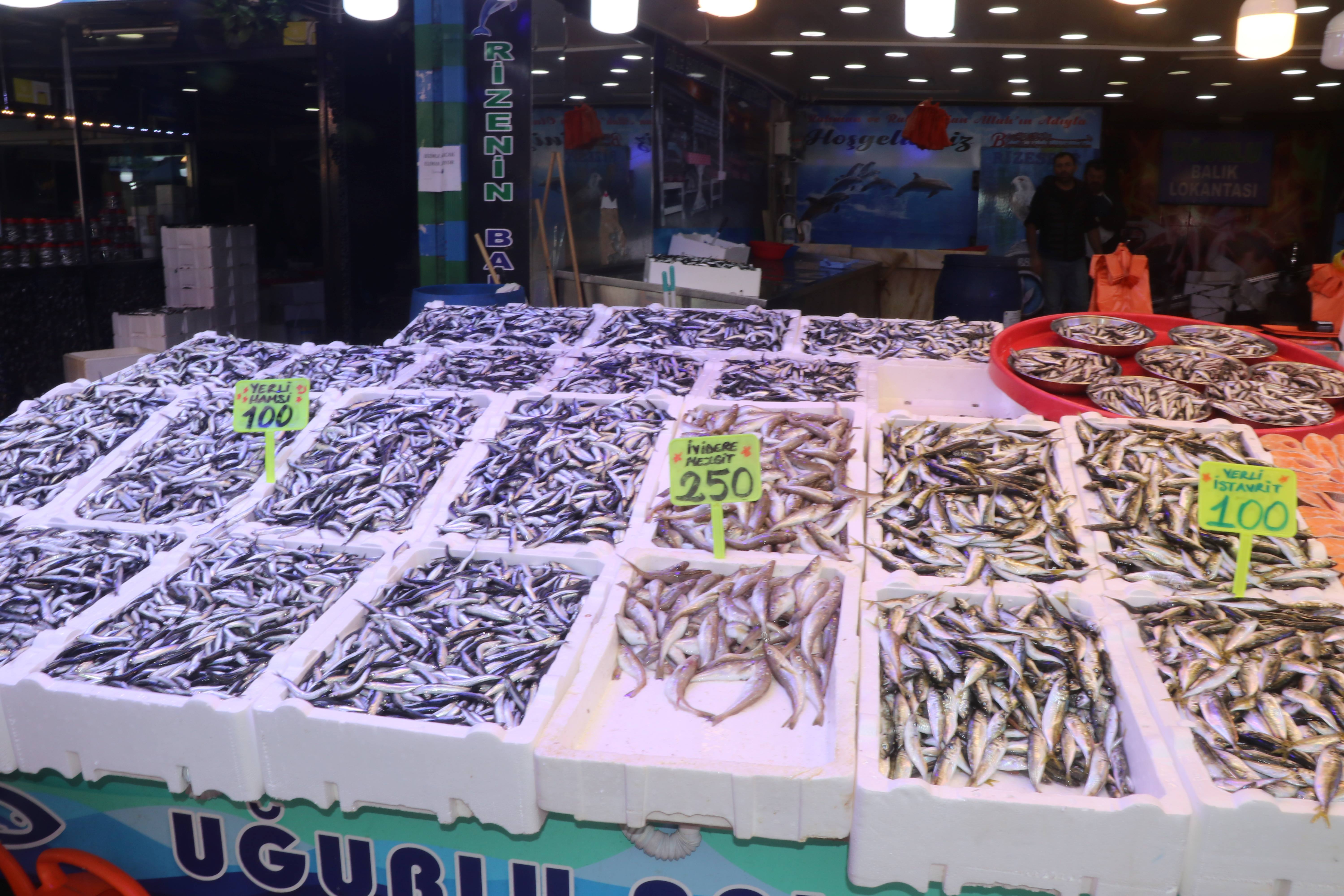 aa-20251025-39517628-39517625-rizede-balik-tezgahlarinda-hamsi-bollugu-yasaniyor.jpg