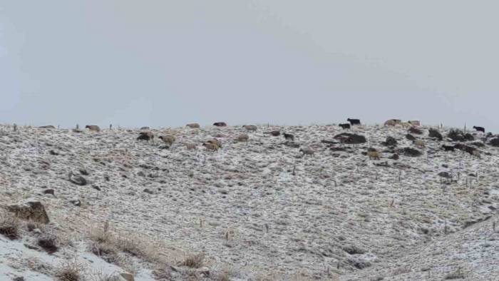 Van’da Kış Yüzünü Gösterdi: Erek Dağı Ve Çevresi Beyaza Büründü