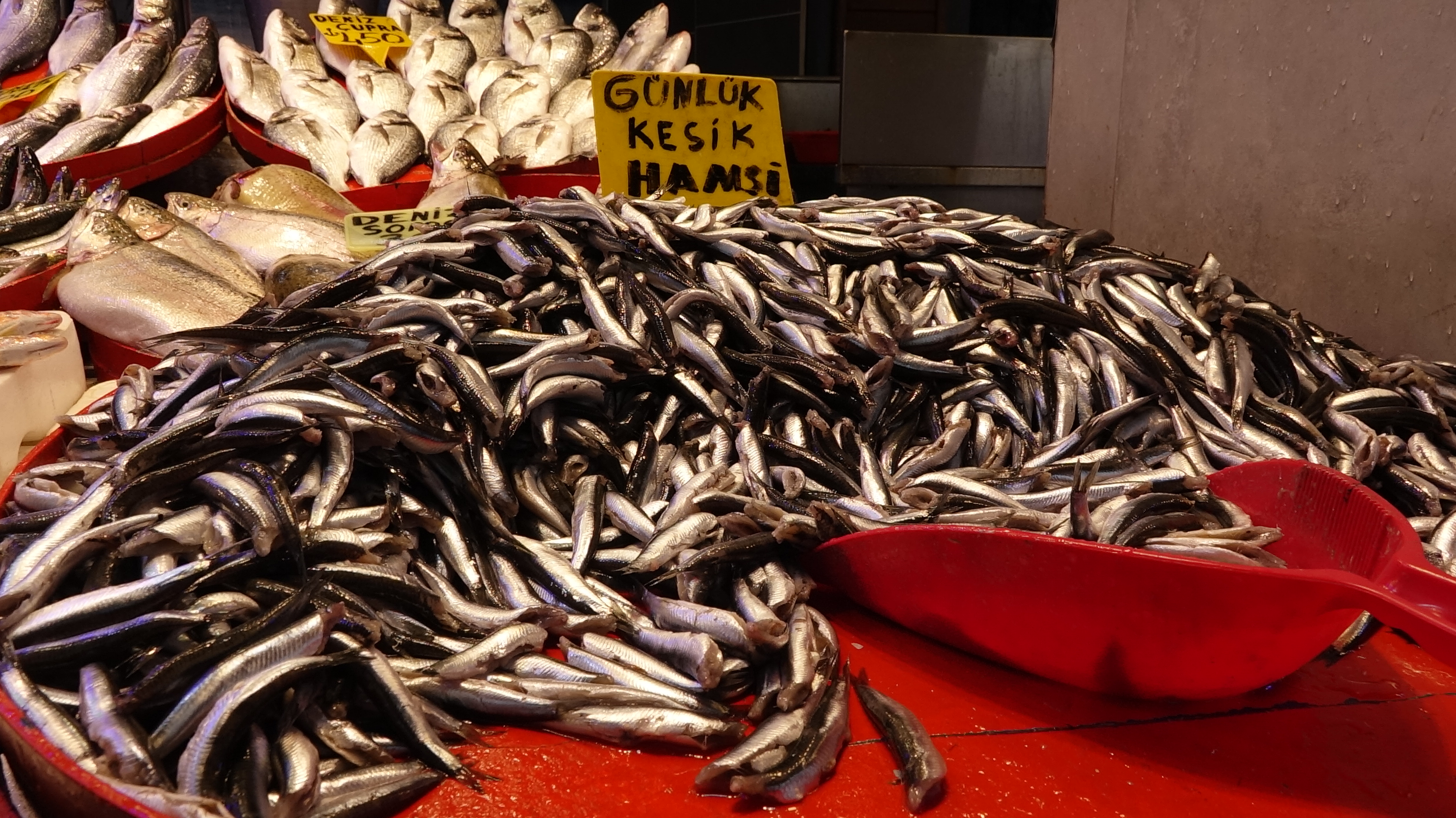 balik-tezgahlarinda-hamsi-bollugu-1055376-313195.jpg