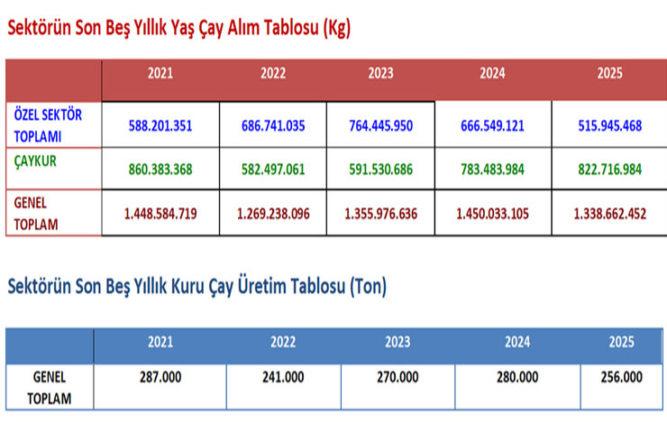 2025-yilinda-yas-cay-rekoltesi-1-milyon-338-bin-ton.jpg
