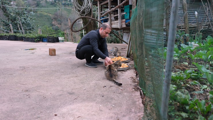 rizede-babadan-kalan-anlamli-miras-lokantada-artan-yiyecekleri-sokak-kedilerine-goturuyor-1.jpg