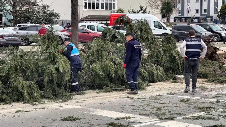 rizede-etkili-olan-firtinada-devrilen-agac-nedeniyle-menderes-bulvari-yan-yolu-kisa-sureli-ulasima-kapandi-4.jpg