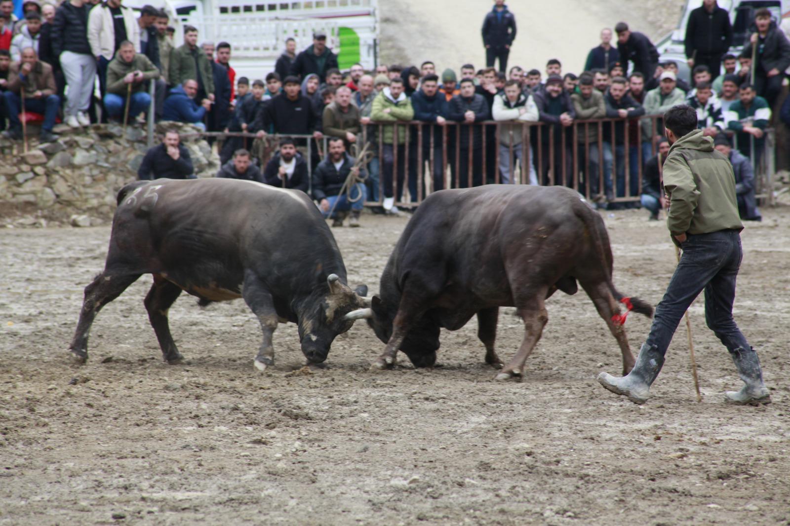 artvinde-boga-guresleri-ilgiyle-izlendi-1258160-374366.jpg