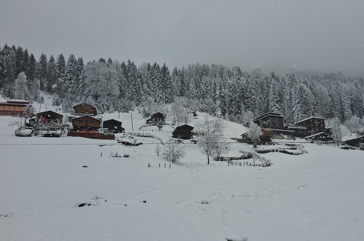ayder-yaylasinda-kar-etkili-oldu-1.jpg