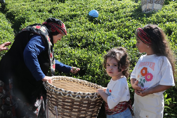 rizenin-ardesen-ilcesinde-bir-yaprakla-baslar-sloganiyla-cay-hasadi-karsilama-programi-gerceklestirildi-3.jpg