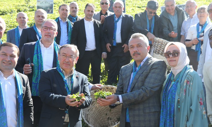 rizenin-ardesen-ilcesinde-bir-yaprakla-baslar-sloganiyla-cay-hasadi-karsilama-programi-gerceklestirildi-4.jpg