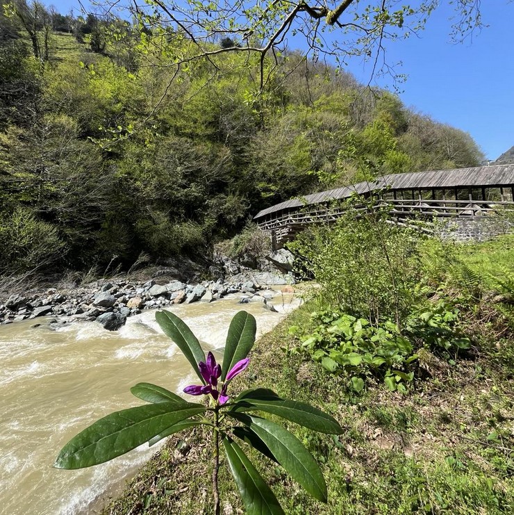 sehrimin-bahari-fotograf-yarismasinda-rize-birincisi-belli-oldu-1.jpg