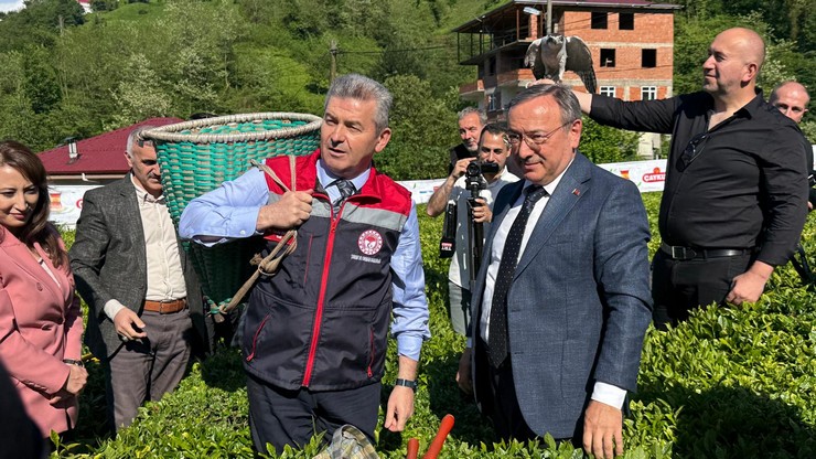 artvinde-geleneksel-cay-hasadi-etkinligi-duzenlendi-4.jpg
