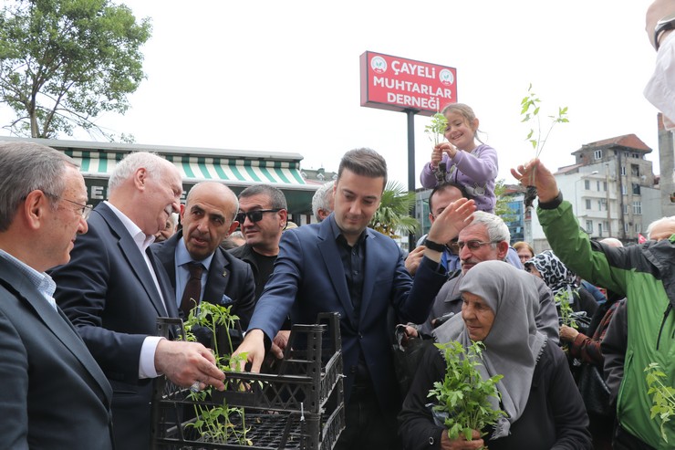 turkiye-ziraat-odalari-birligi-genel-baskani-semsi-bayraktar-cayeli-muhtarlar-derneginde-cayeli-ziraat-odasi-tarafindan-duzenlenen-5-geleneksel-ata-tohumu-fidan-dagit-5.jpg