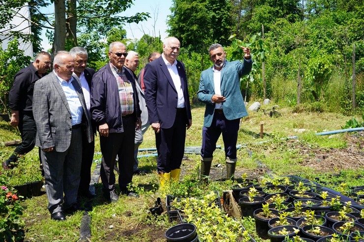 tzob-baskani-semsi-bayraktar-rize-findiklida-5.jpg