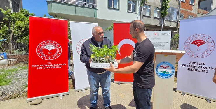 rizenin-ardesen-ilcesinde-aile-isletmelerini-guclendirmek-ve-uretimi-surdurulebilir-kilmak-amaciyla-hayata-gecirilen-sebze-yetistiriciliginde-aile-isletmeciligi-modeli-13.jpg