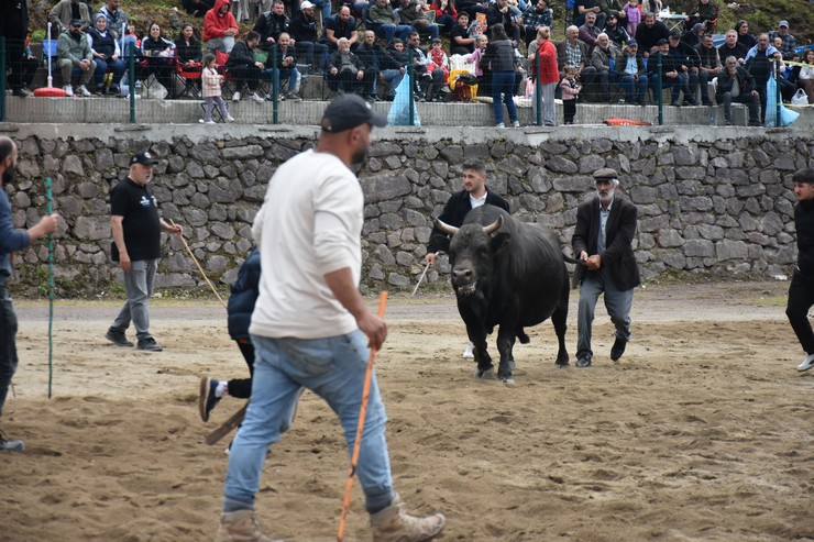 artvinin-murgul-ilcesinde-organize-edilen-16-murgul-damar-karagol-kultur-sanat-ve-boga-guresleri-festivali-sona-erdi-4.jpg