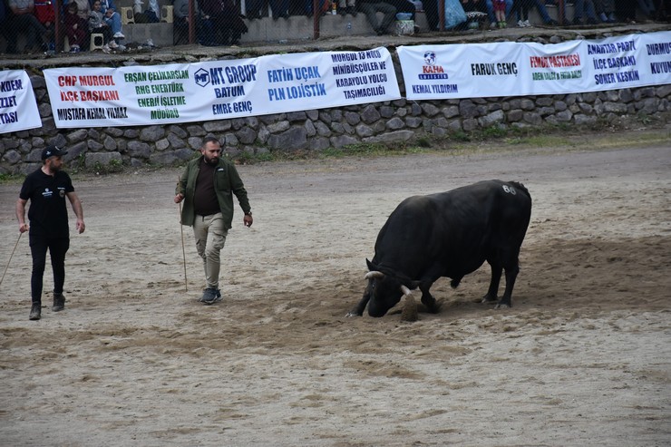 artvinin-murgul-ilcesinde-organize-edilen-16-murgul-damar-karagol-kultur-sanat-ve-boga-guresleri-festivali-sona-erdi-9.jpg
