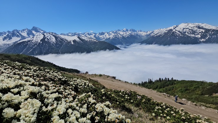 rizenin-camlihemsin-ilcesinde-kackar-daglarinin-eteklerindeki-yaylalarda-acan-cicekler-ve-sis-denizi-dronla-goruntulendi-5.jpg