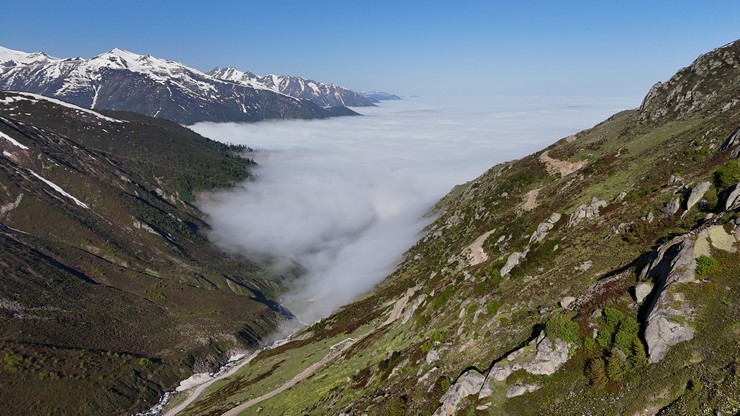rizenin-camlihemsin-ilcesinde-kackar-daglarinin-eteklerindeki-yaylalarda-acan-cicekler-ve-sis-denizi-dronla-goruntulendi-6.jpg