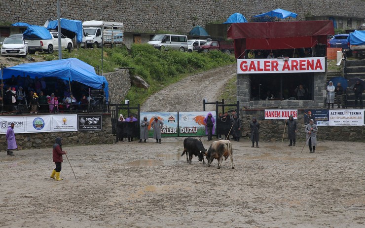 rizede-geleneksel-camlihemsin-ayder-kultur-sanat-ve-doga-festivalinin-30uncusu-duzenlendi-1.jpg