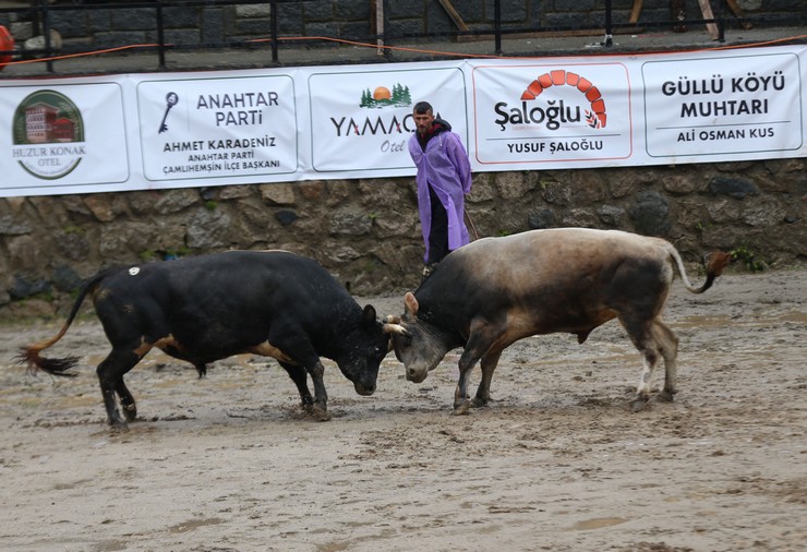 rizede-geleneksel-camlihemsin-ayder-kultur-sanat-ve-doga-festivalinin-30uncusu-duzenlendi-2.jpg