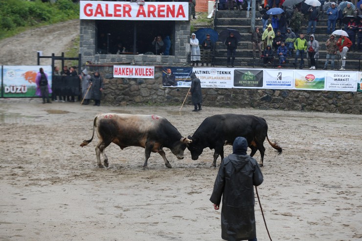 rizede-geleneksel-camlihemsin-ayder-kultur-sanat-ve-doga-festivalinin-30uncusu-duzenlendi-3.jpg