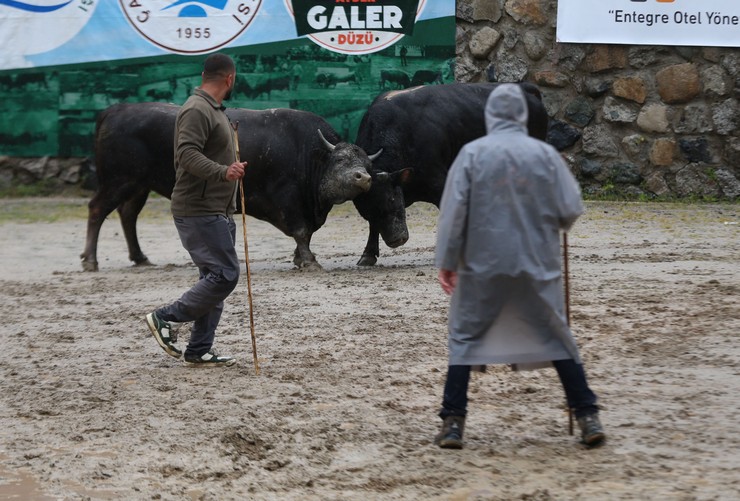 rizede-geleneksel-camlihemsin-ayder-kultur-sanat-ve-doga-festivalinin-30uncusu-duzenlendi-4.jpg