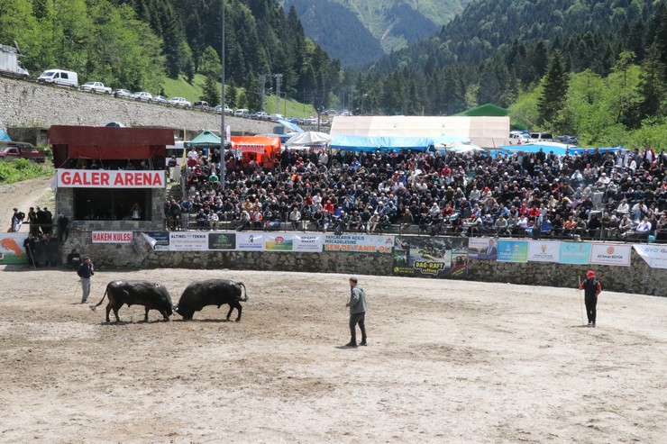 rizede-30-camlihemsin-ayder-kultur-sanat-ve-doga-festivali-tamamlandi-12.jpg