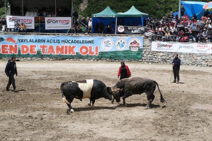 rizede-30-camlihemsin-ayder-kultur-sanat-ve-doga-festivali-tamamlandi-14.jpg