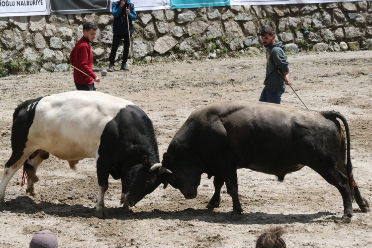 rizede-30-camlihemsin-ayder-kultur-sanat-ve-doga-festivali-tamamlandi-2.jpg