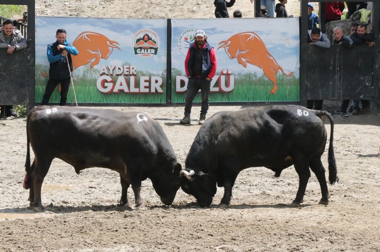 rizede-30-camlihemsin-ayder-kultur-sanat-ve-doga-festivali-tamamlandi-3.jpg