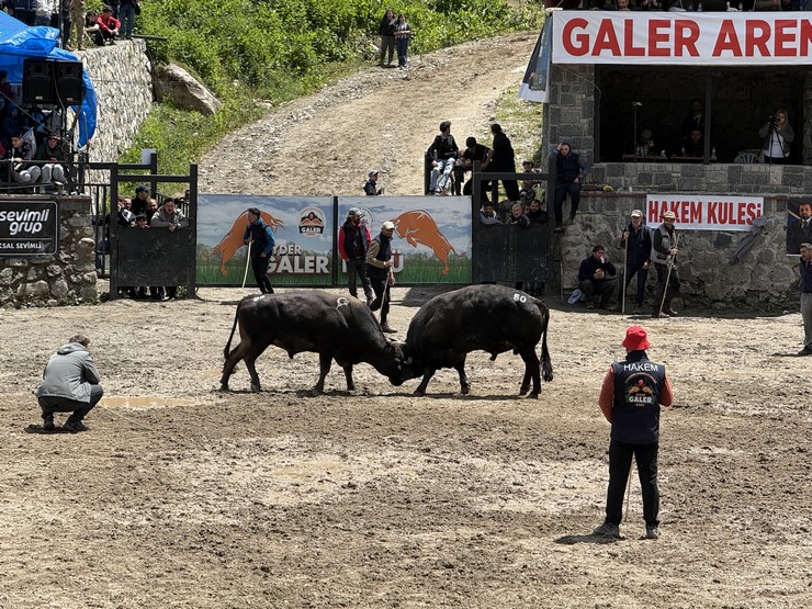 rizede-30-camlihemsin-ayder-kultur-sanat-ve-doga-festivali-tamamlandi-6.jpg