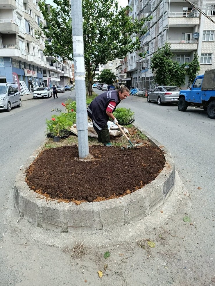 ardesen-belediyesi-sahada-zamanla-yarisiyor-ilcenin-cehresi-degisiyor-10.jpg