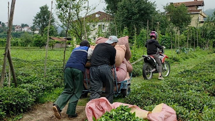 rizelinin-pratik-zekasi-kendisine-hayran-birakti-4.jpg