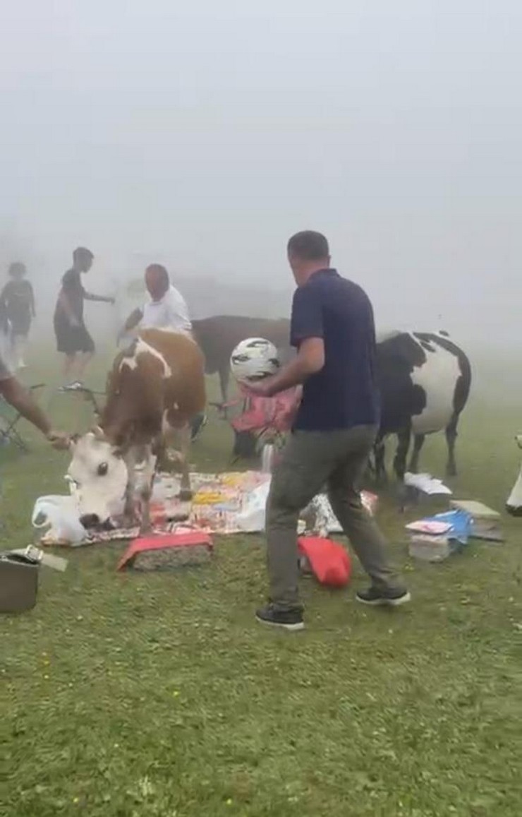 rizede-piknik-masasinin-davetsiz-misafirleri-ile-piknikciler-arasinda-gulduren-kovalamaca-4.jpg