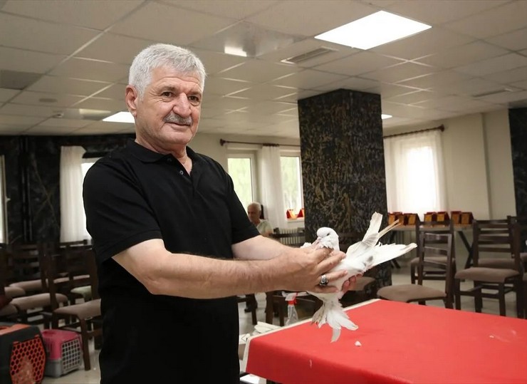 anadoluda-yetistirilen-ve-ender-guvercin-irklari-arasinda-gosterilen-sebap-guvercinleri-erzurumda-sergilendi-2.jpg