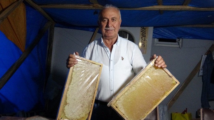 camoluk-bal-festivalinde-1-milyon-400-bin-liralik-agalik-yarisi-1.jpg